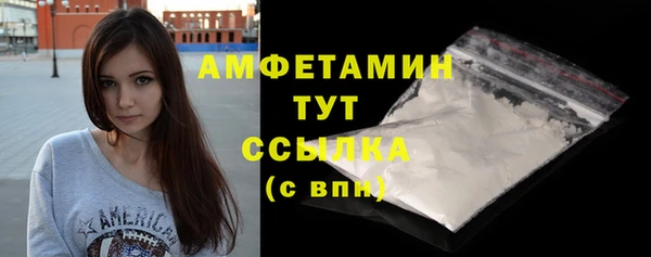 прущие грибы Беломорск