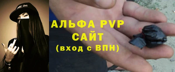 ПСИЛОЦИБИНОВЫЕ ГРИБЫ Белоозёрский