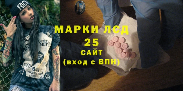 ПСИЛОЦИБИНОВЫЕ ГРИБЫ Белоозёрский