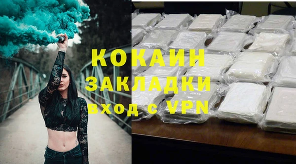 прущие грибы Беломорск