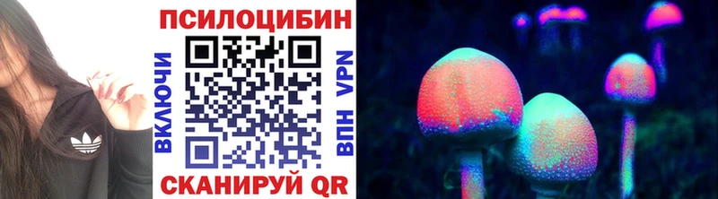 кракен ссылки  Богданович  Галлюциногенные грибы Psilocybine cubensis 